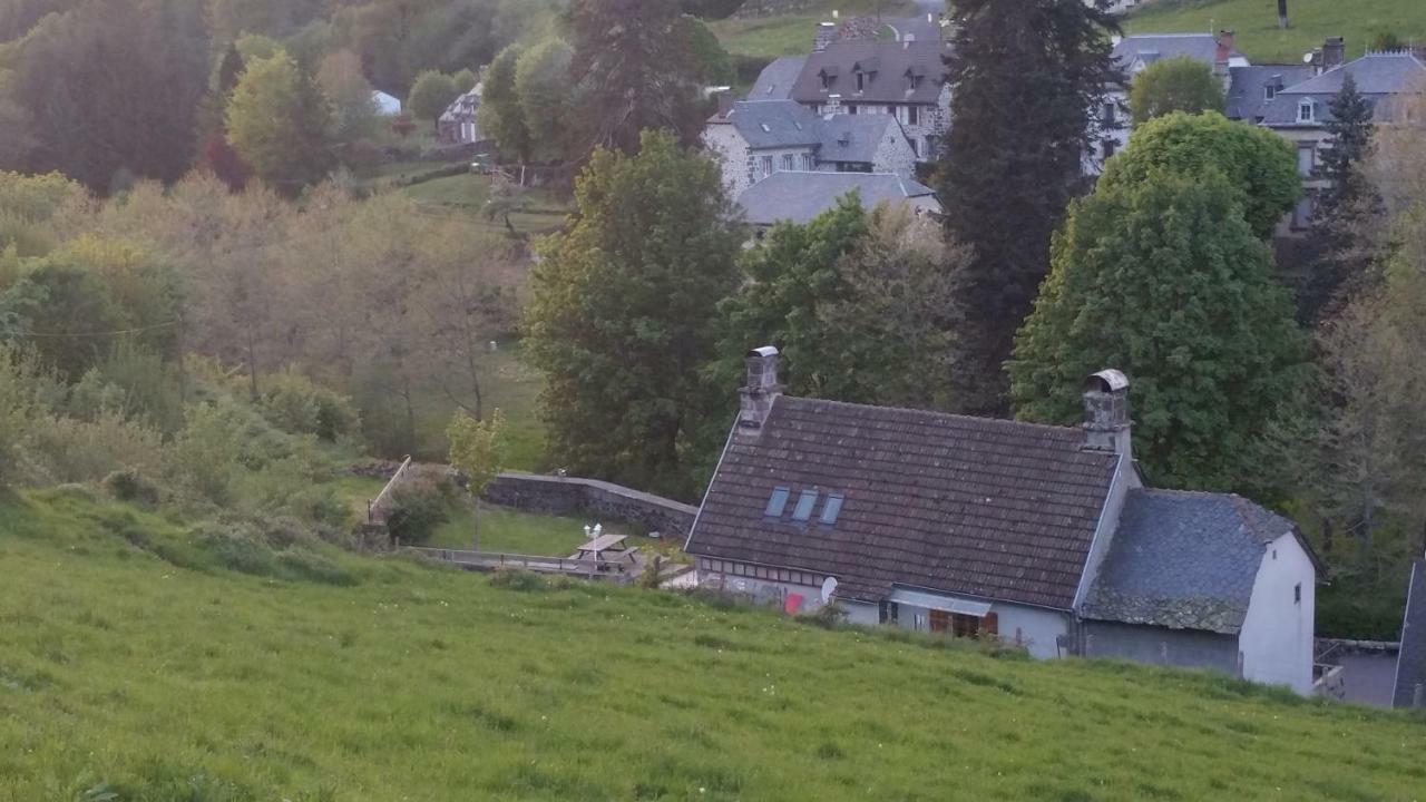 Maison Du Pays De Salers Dans Le Parc Des Volcans D'Auvergne Saint-Projet-de-Salers 外观 照片